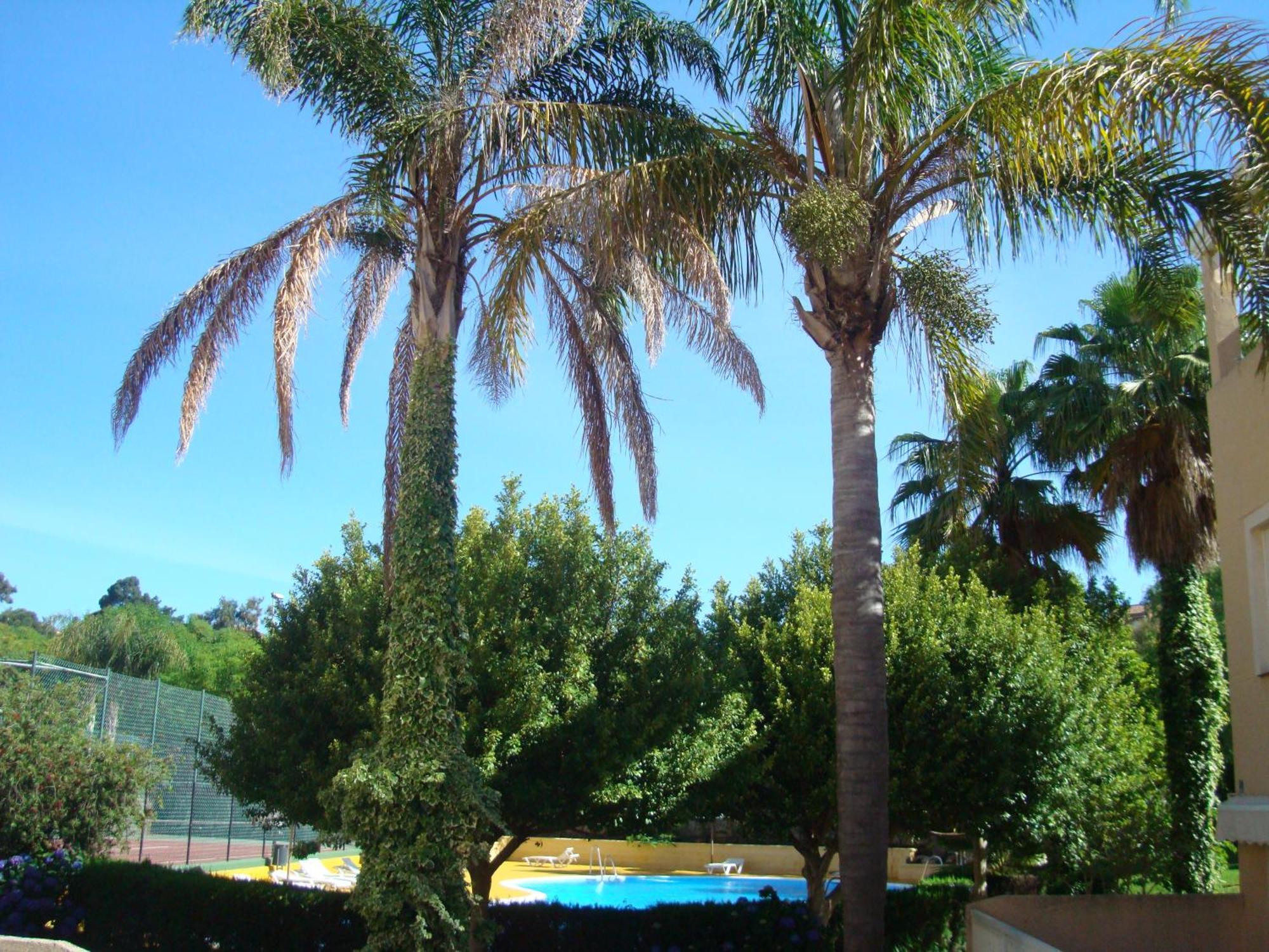Apartment Islantur Ipanema Islantilla